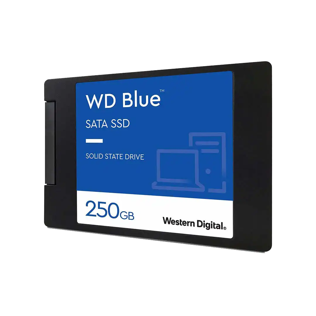 SSD وسترن دیجیتال 250 گیگ Blue WDS250G2B0A