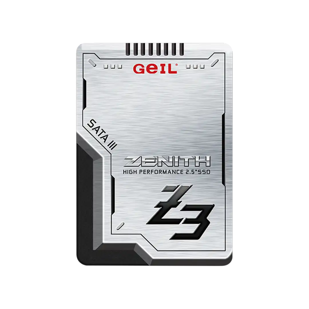 حافظه SSD گیل 256 گیگابایت مدل ZENITH Z3
